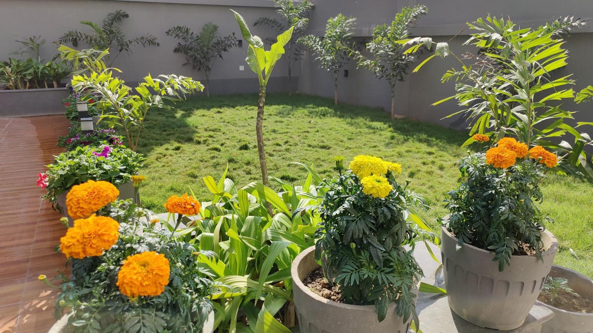 Hotel Ridley International Digha  Eksteriør bilde